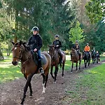 Dobre Casy Poděbrady