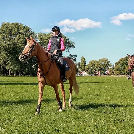 Dobre Casy Frühstückspension 4*