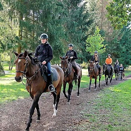 Dobré časy Poděbrady