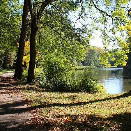 Dobre Casy Podebrady