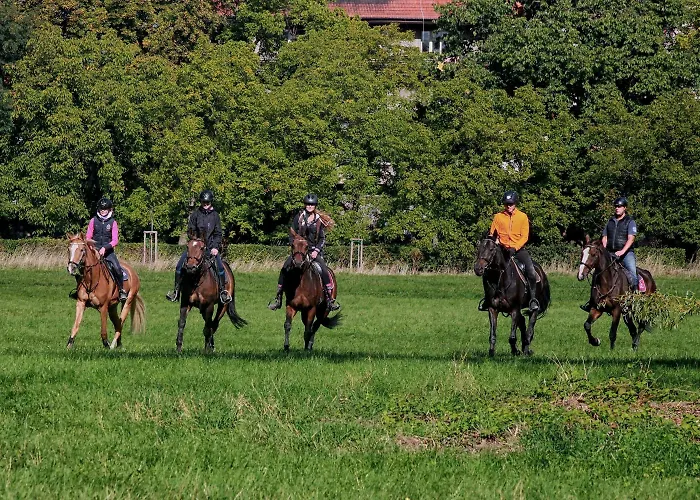 Dobre Casy 4* Poděbrady